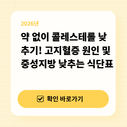 약 없이 콜레스테롤 낮추기! 고지혈증 원인 및 중성지방 낮추는 식단표 대표 이미지
