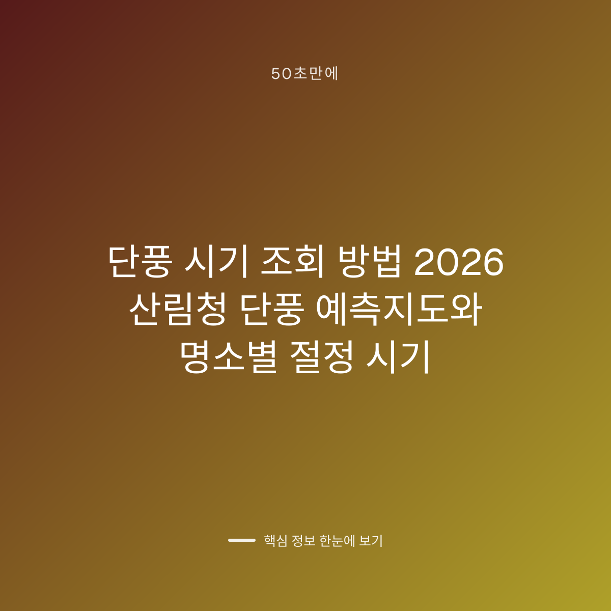 단풍 시기 조회 방법 2026 산림청 단풍 예측지도와 명소별 절정 시기 대표 이미지