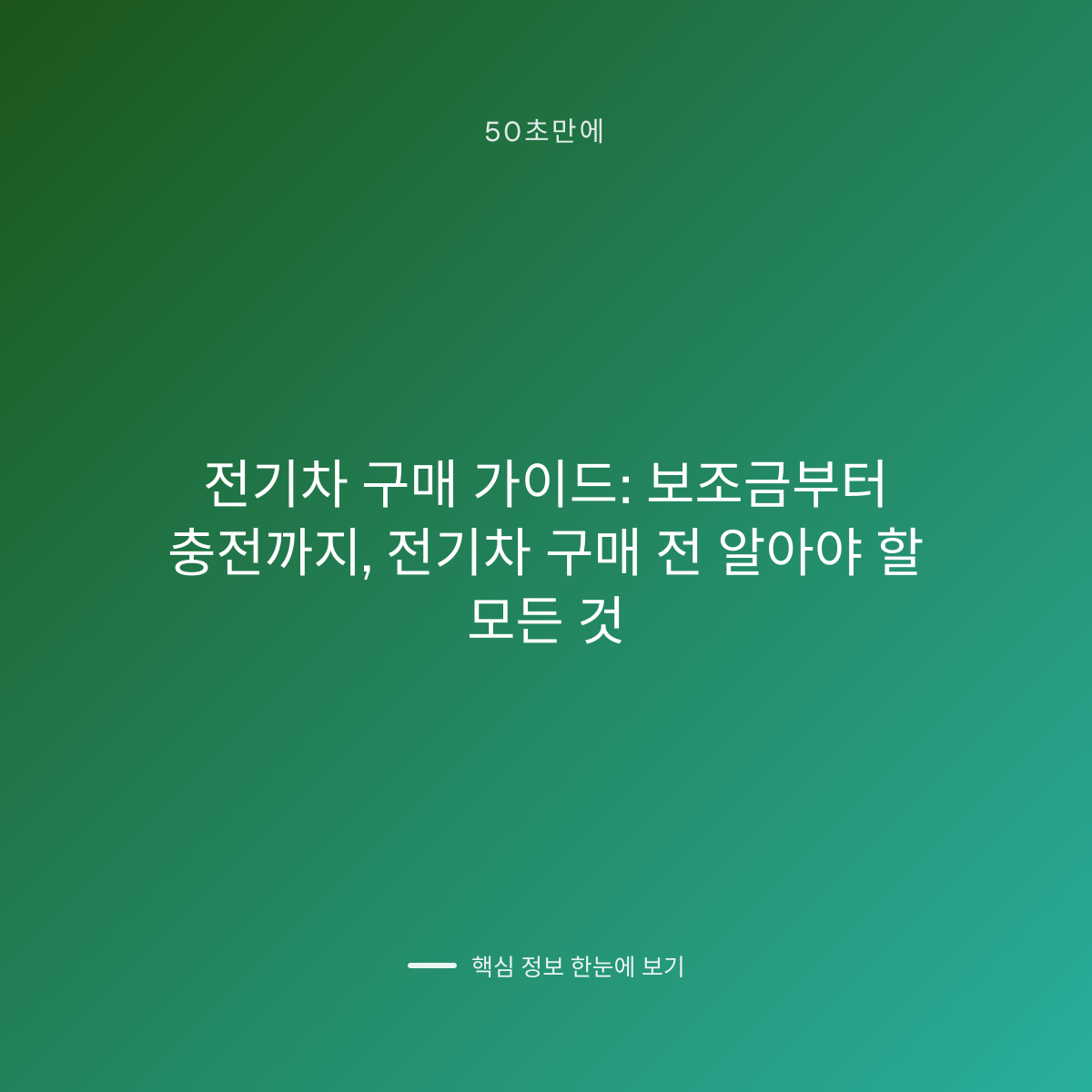 전기차 구매 가이드: 보조금부터 충전까지, 전기차 구매 전 알아야 할 모든 것 대표 이미지