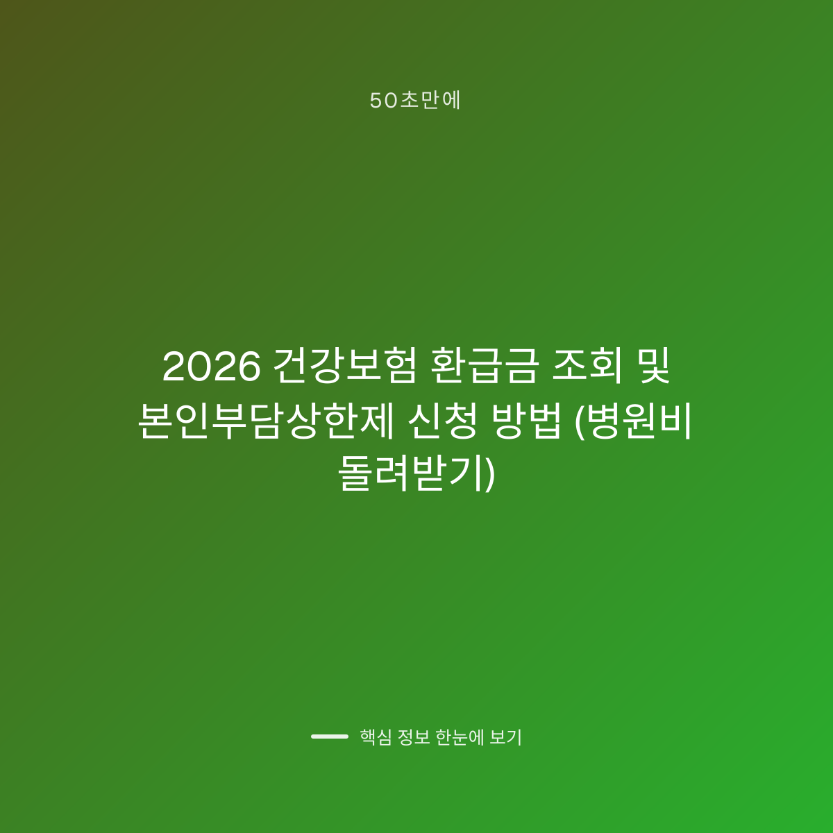 2026 건강보험 환급금 조회 및 본인부담상한제 신청 방법 (병원비 돌려받기) 대표 이미지
