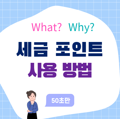 세금 포인트 사용방법, 이대로만 하면 절세 고수