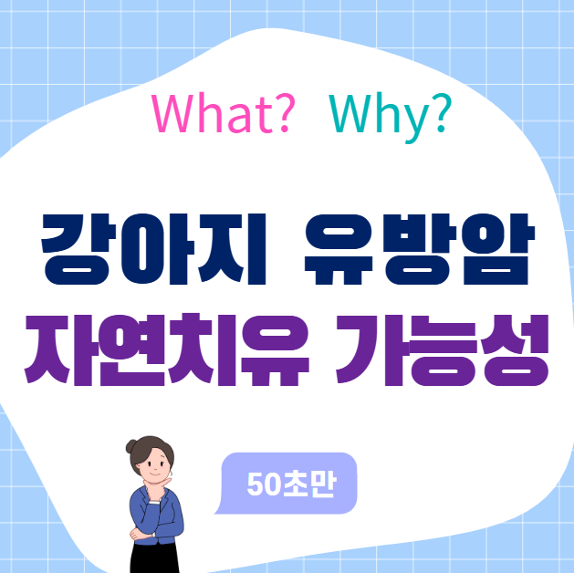 강아지 유방암 자연치유 가능성 정확히 알아보기