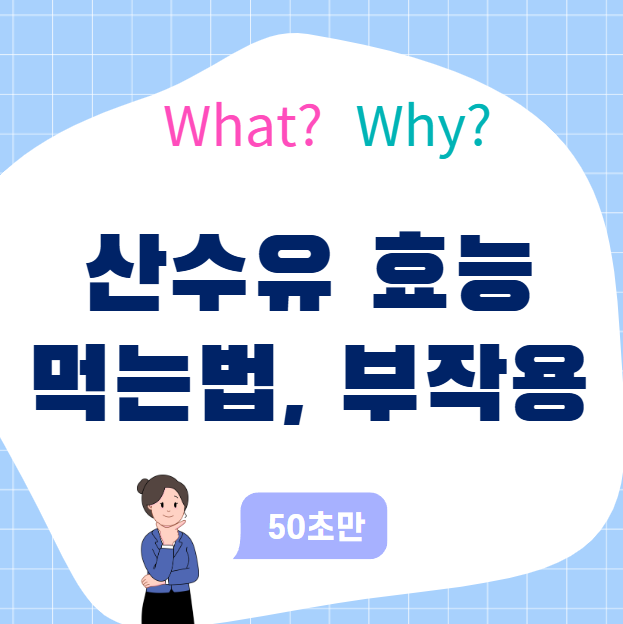 산수유 효능, 먹는법, 부작용까지 한 번에 정리 (2025 최신)