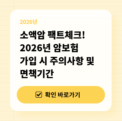 소액암 팩트체크! 2026년 암보험 가입 시 주의사항 및 면책기간 대표 이미지